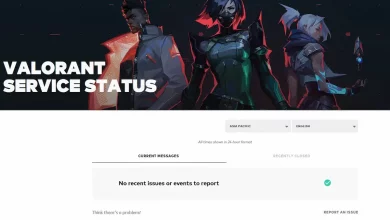 PMID Disabled en VALORANT: Qué significa y cómo solucionarlo